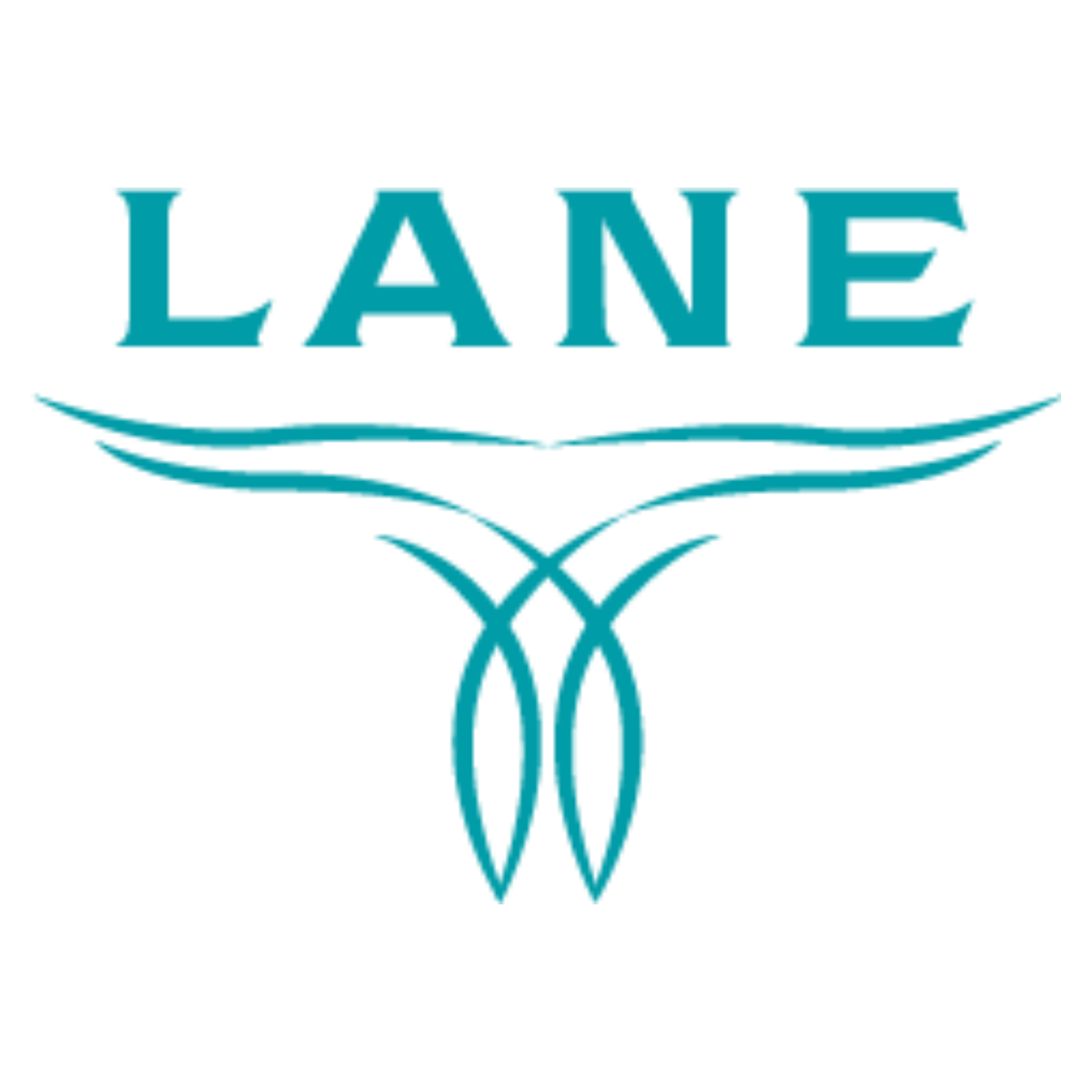 Lane Boots logo