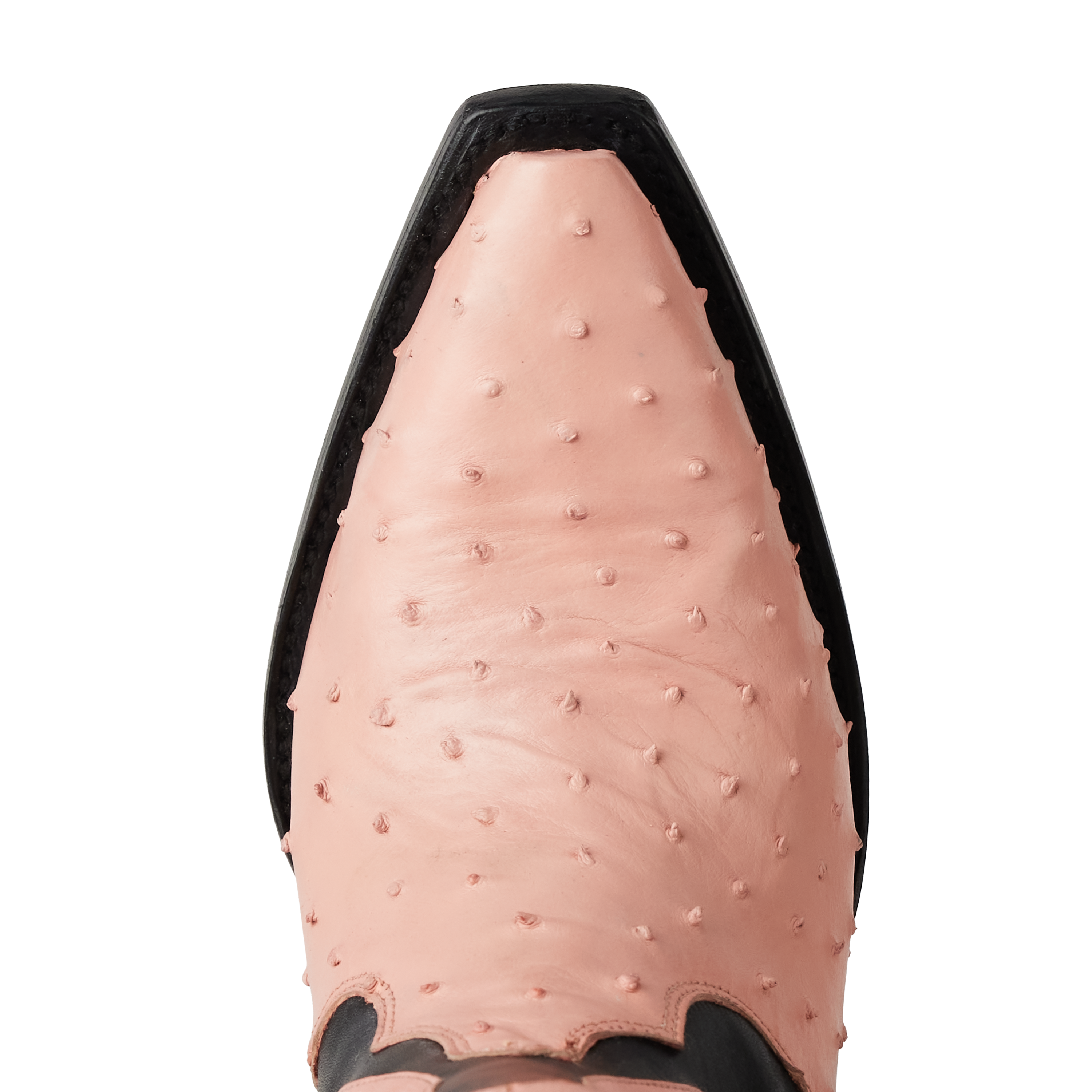 Jolene Exotic Boot - Blush Ostrich & Jet Black Ladies Boot Western Fashion by Lane