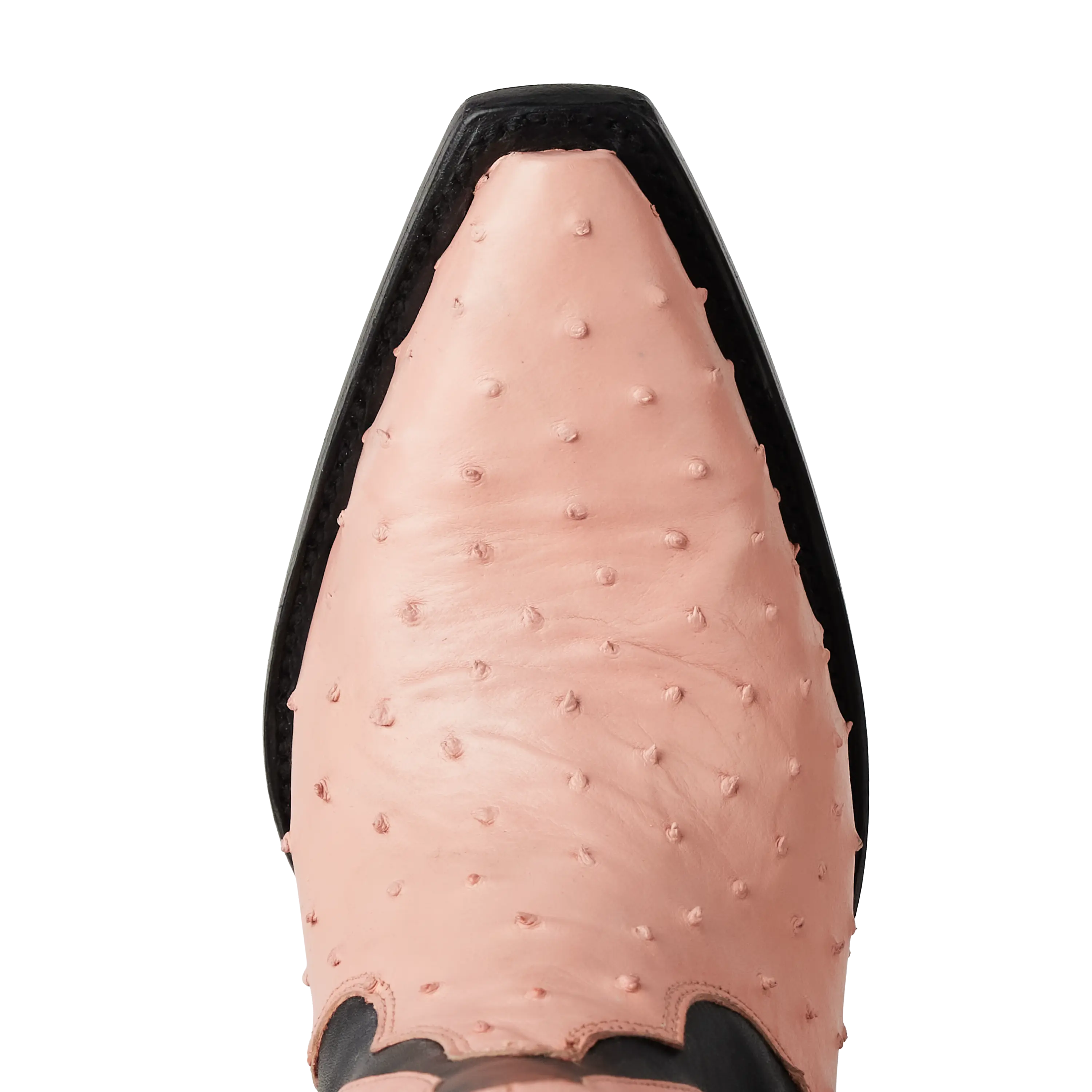 Jolene Exotic Boot - Blush Ostrich & Jet Black Ladies Boot Western Fashion by Lane