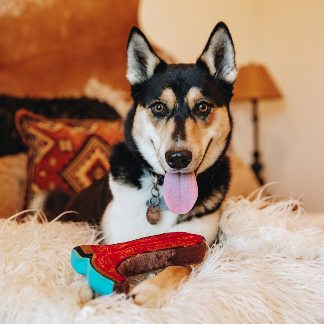 Ranch dog with Lane Boots cowboy boot dog toy