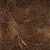Calypso Burnt Caramel Styles Lane Boots