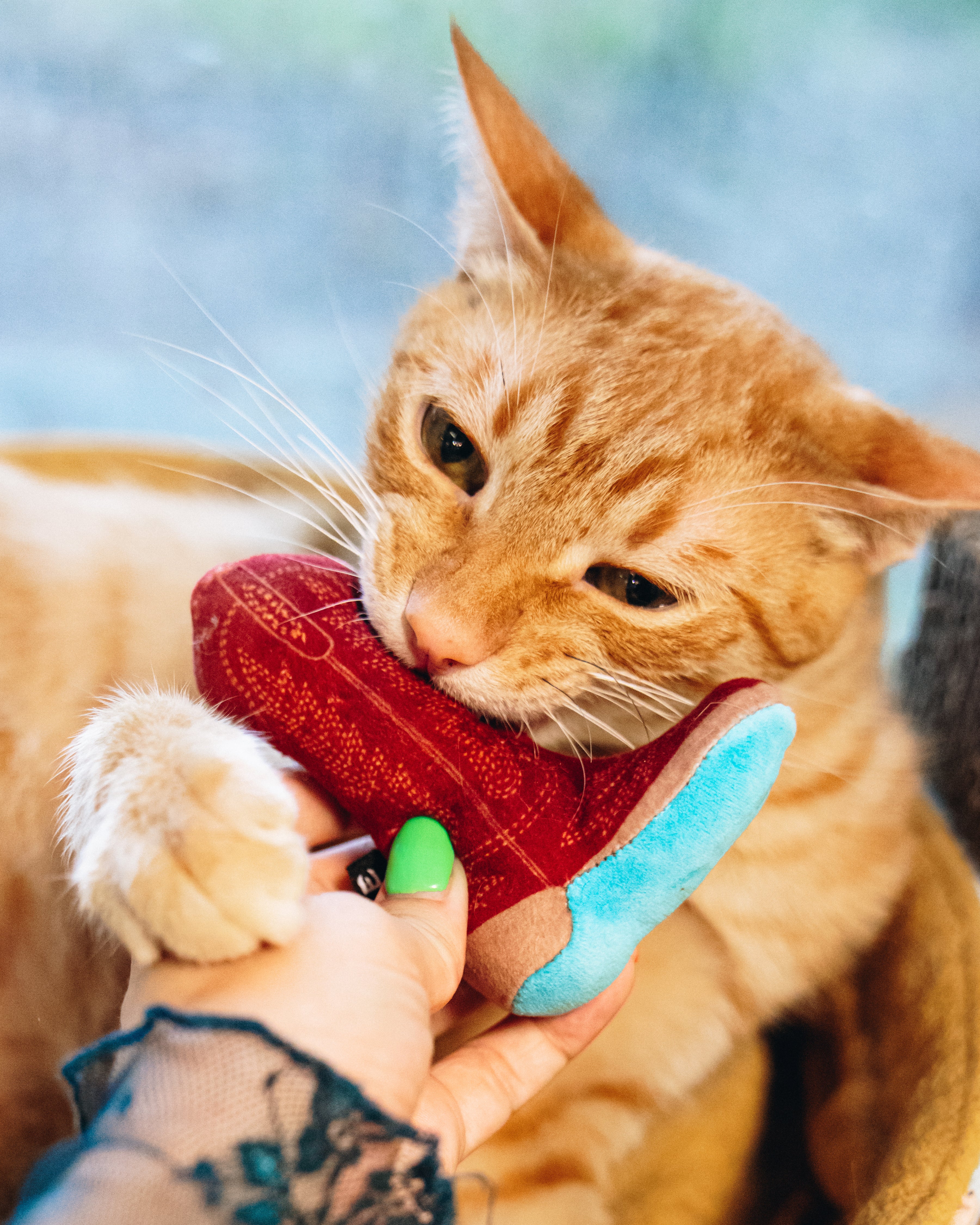 Meowdy Partner - Boot Cat Toy with Catnip Cat Toy Western Fashion by Lane
