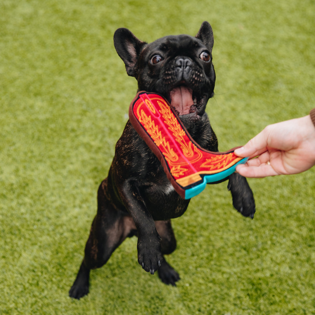 Frenchie with Cowboy Boot Dog Toy by Lane